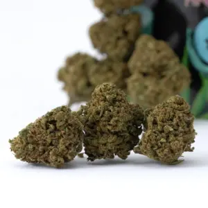 small buds di canapa light cbd dope farm firenze