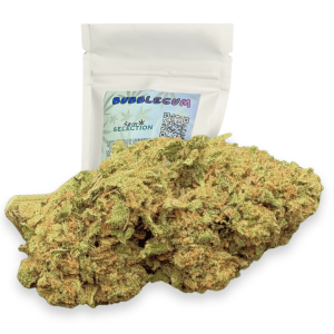 cannabis light bubblegum cbd