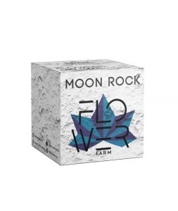 moon rock
