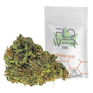 cannabis light orange bud cbd canapa flower farm