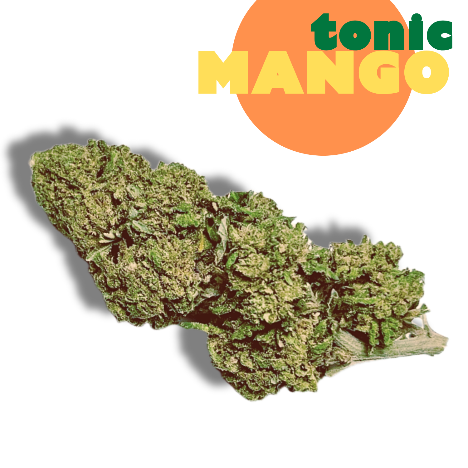 cannabis light mango tonic cbd canapa cannabis light mango tonic cbd canapa erba legale
