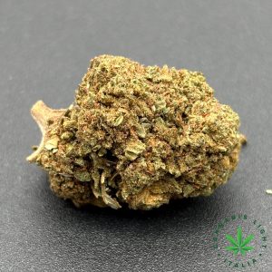 amnesia orange cannabis legale