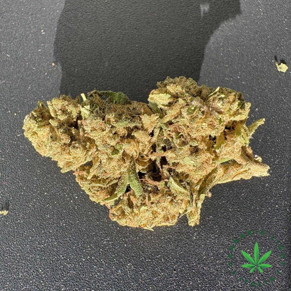 LEMON haze cannabis light italia canapa cbd