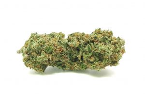 cannabis light bubble gum cbd marijuana legale
