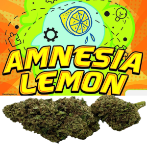 canapa amnesia lemon by clorofilla shop cannabis light