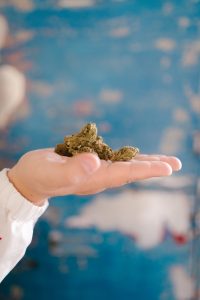germania legalizza cannabis