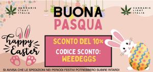 promo cannabi light italia cbd e canapa shop