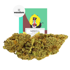 canapa lemonkey weedom indoor