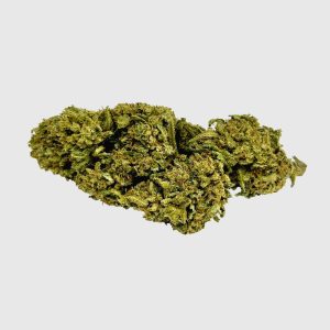canapa cbweed watermelon cannabis legale