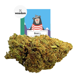 canapa bearry weedom indoor buds