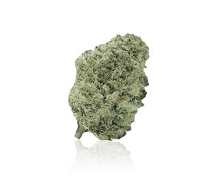 cannabis light indoor l.a. special extraxta cbd