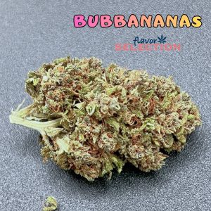 canapa bubbananas cannabis light italia greenhouse