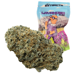 canapa indoor cbd lavander kush extracta lab