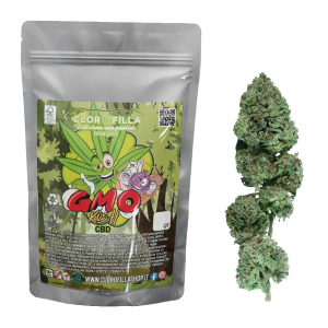 infiorescenza di cannabis light canapa GMO kush clorofilla