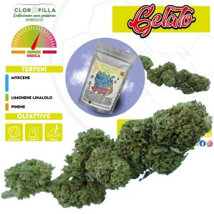 cannabis light gelato cbd by clorofilla shop