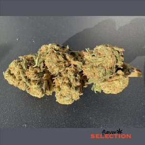 cannabis light sweet devil harlequin