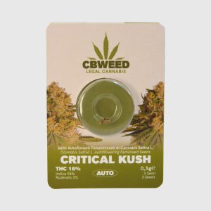 semi di cannnabis autofiorenti femminizzati cbweed thc