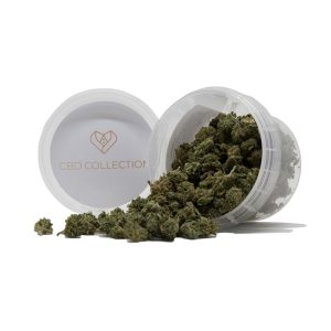 cannabis light small buds cbd collection