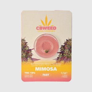 semi di cannabis da collezione femminizzati con thc mimosa