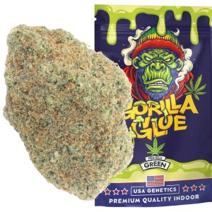 gorilla glue usa genetic cbd fratelli green cannabis indoor