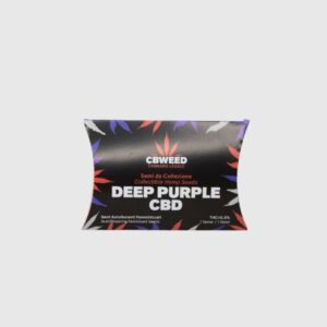 semi cbd canapa femminizzati autofiorenti