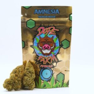 cannabis light amnesia canapa legale